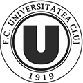 克卢日大学
